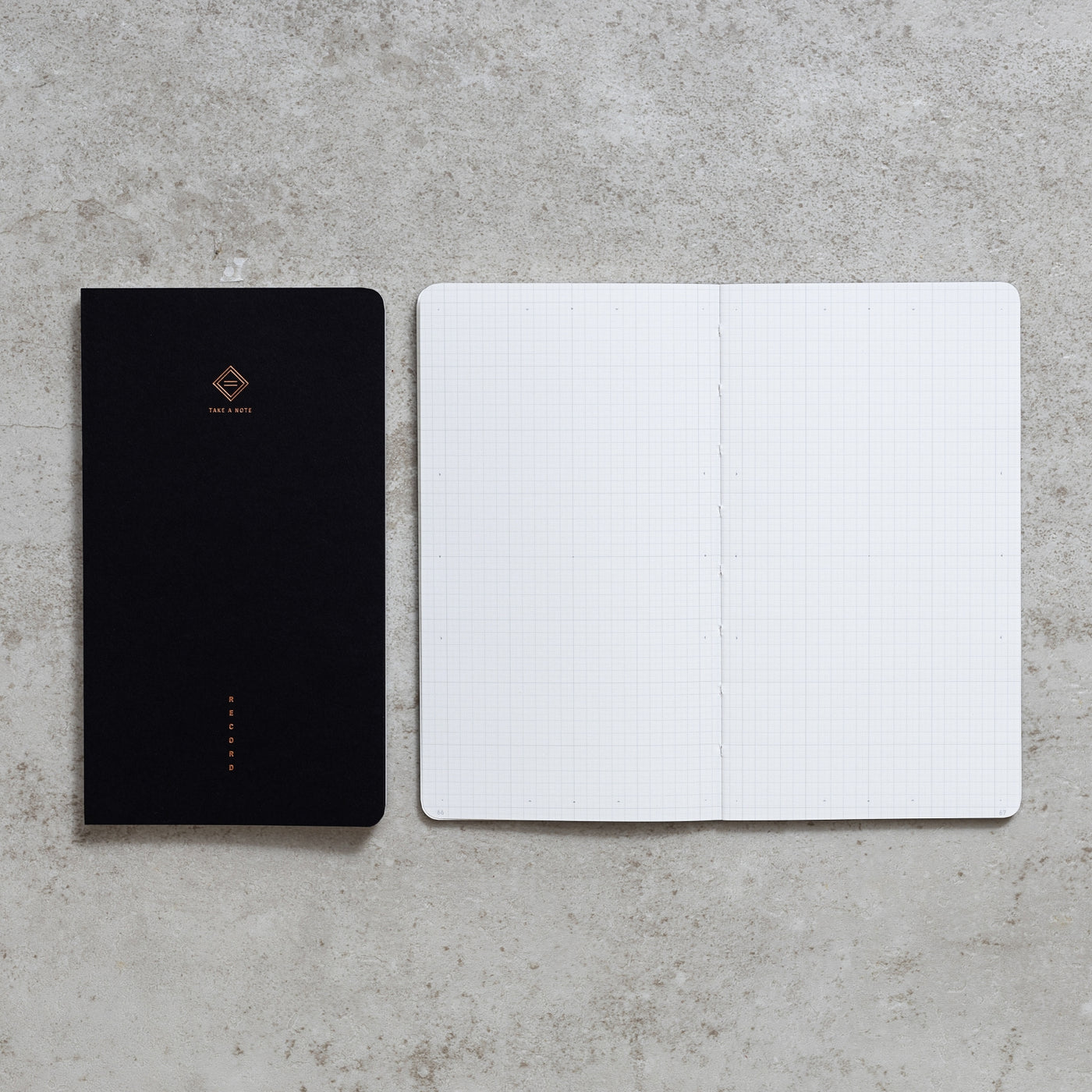 Take a Note "RECORD" - MASTER Bullet Journal