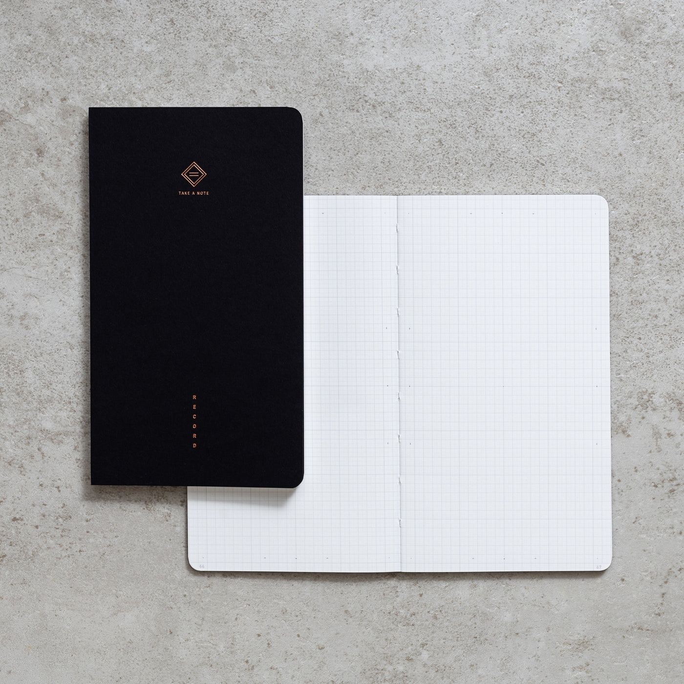 Take a Note "RECORD" - MASTER Bullet Journal