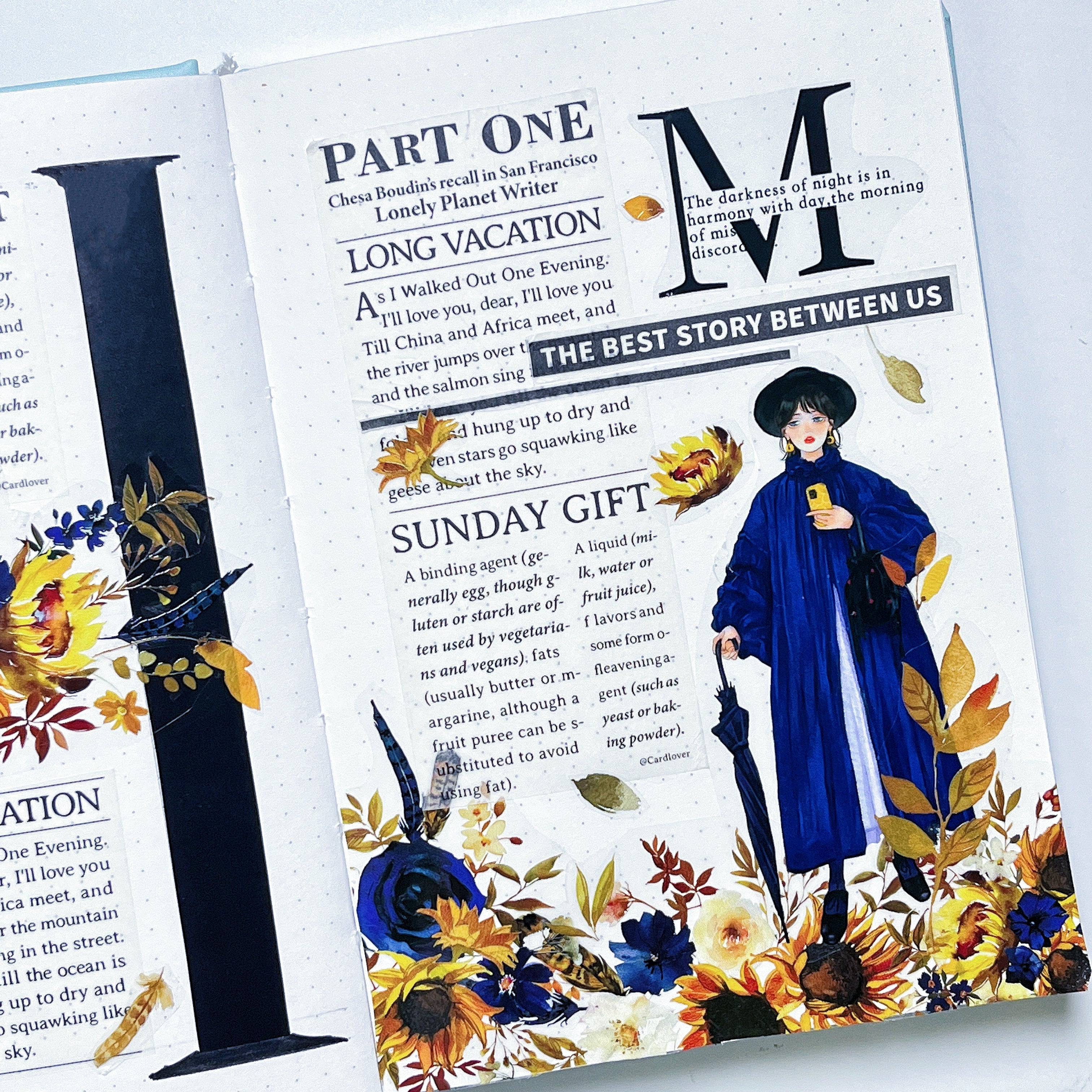 Sunflower & Navy Wide Washiteippi 60mm