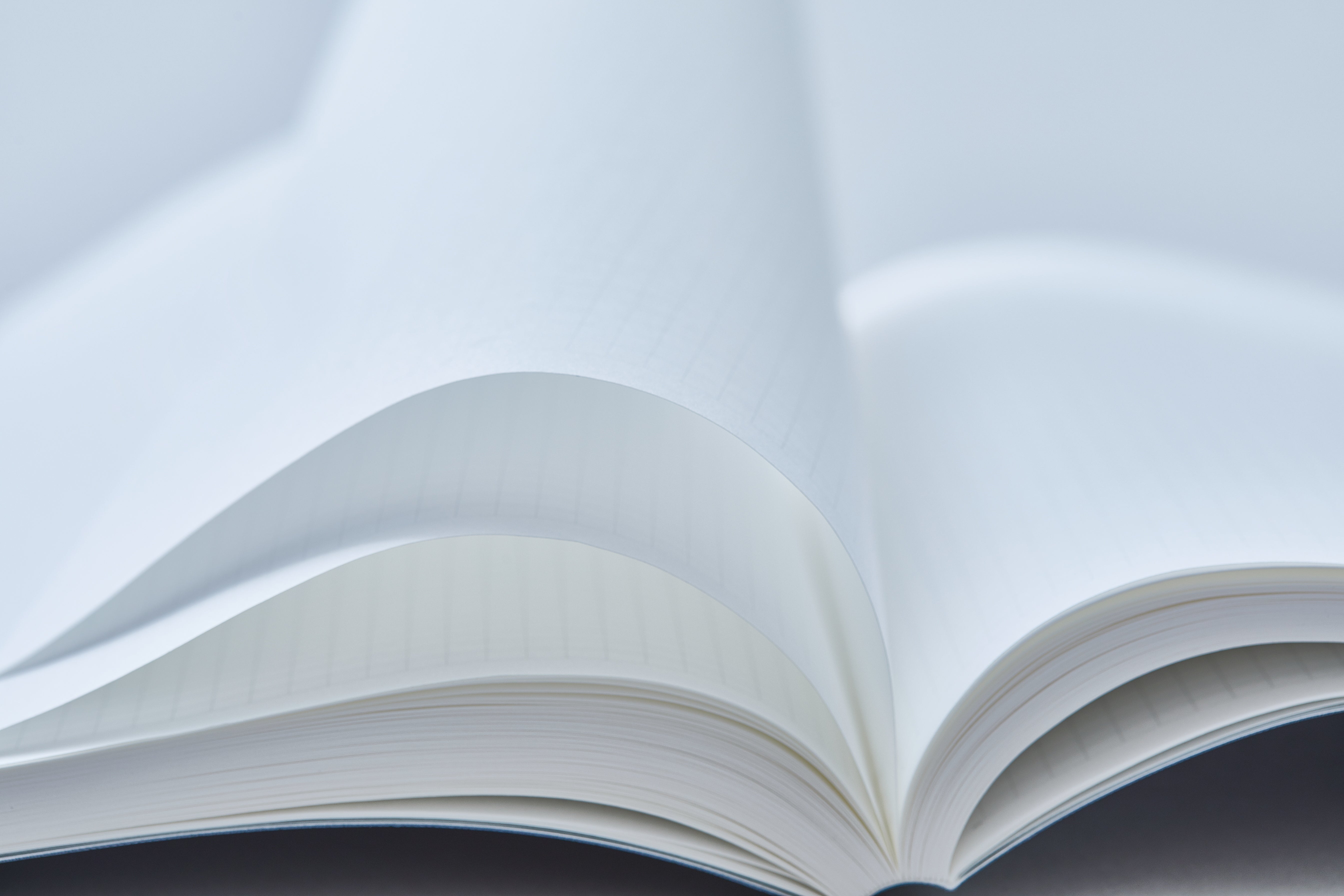 1/2 Year Notebook A5 Olive (LIMITED EDITION)