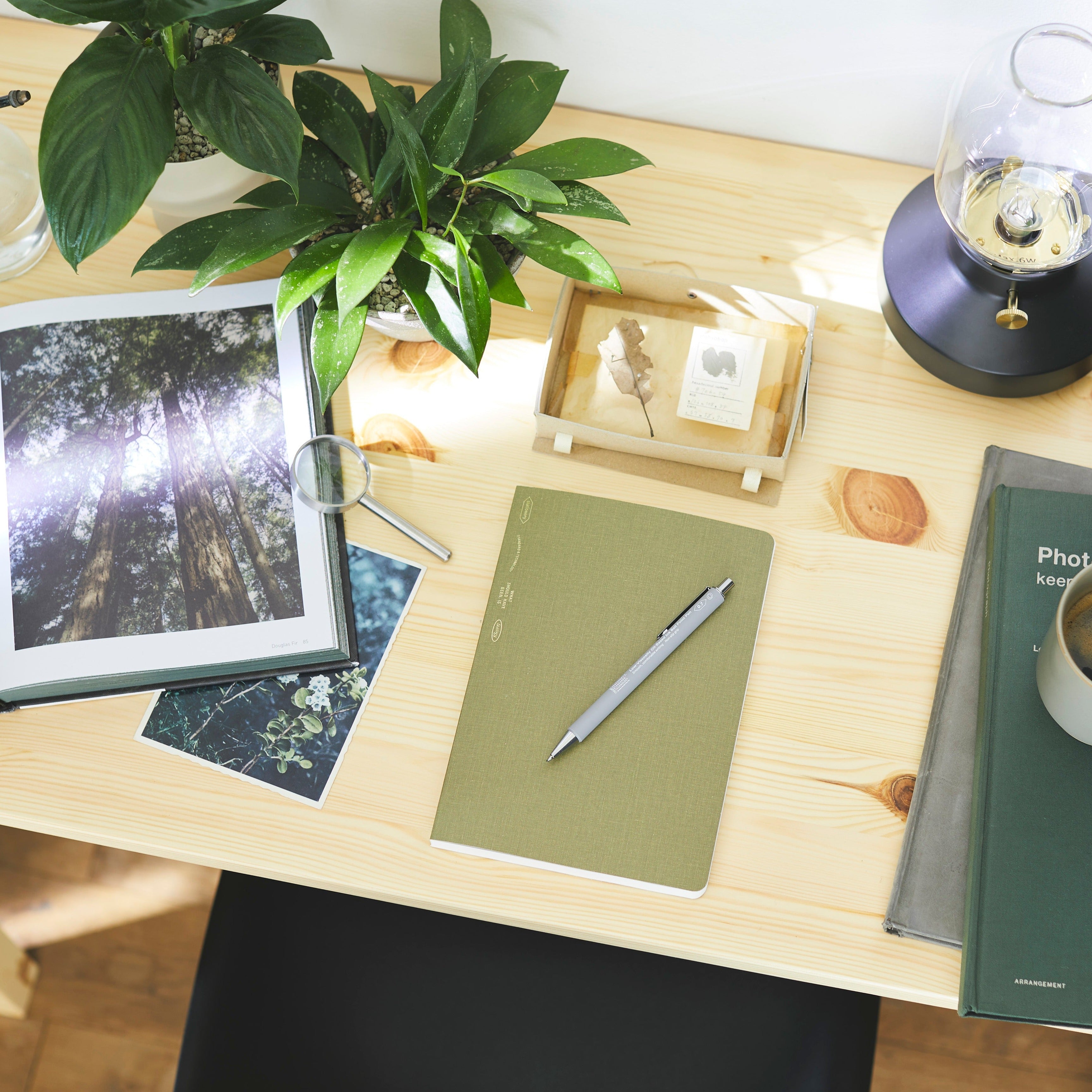 1/2 Year Notebook A5 Olive (LIMITED EDITION)