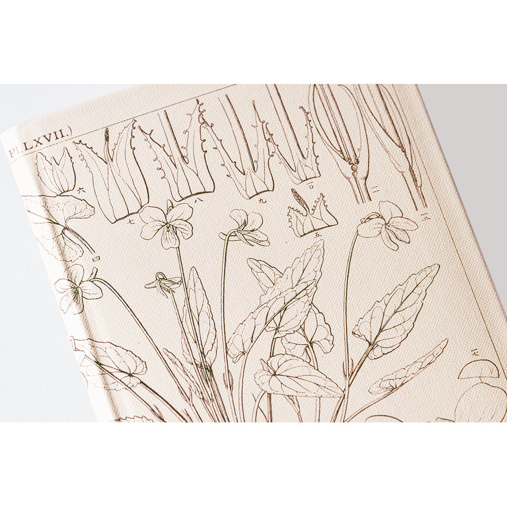 Hobonichi Weeks Tomitaro Makino: Shihai Sumire 2024 ENG