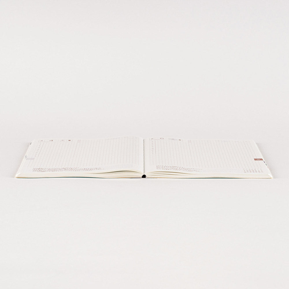 Hobonichi A5 Cousin Avec 2024 / 6-Month x 2 Book Set