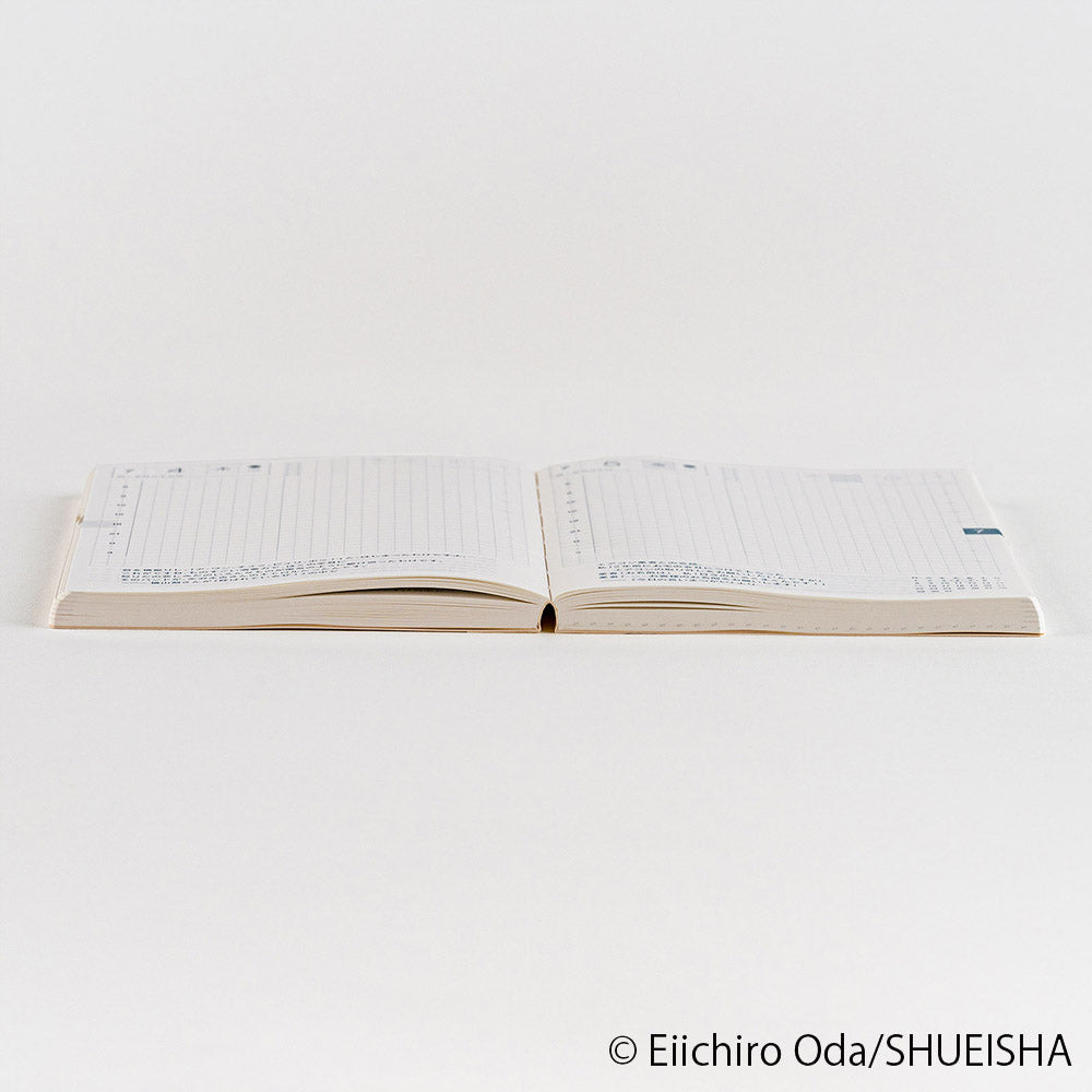 Hobonichi Techo A6 Original Book - One Piece Edition 2024 JPN Special edition in collaboration with manga One Piece. Hobonichi A6 Original is the Japanese edition of beloved Hobonichi techo A6 size planner. It has the same basic features as A6 planner; one page for each day from January to December 2024, Monday start, daily quotes, lay-flat binding, amazing Tomoe River paper etc.