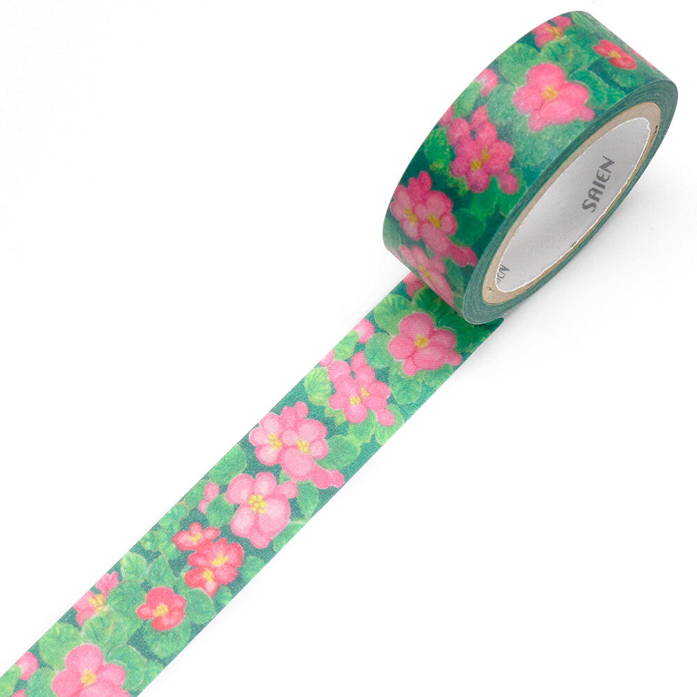 Saien Washiteippi Begonia