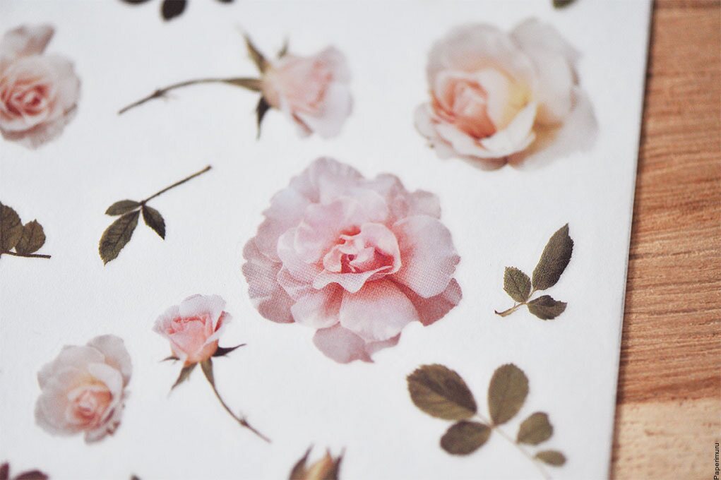 Mu Print-ON Sticker 1034