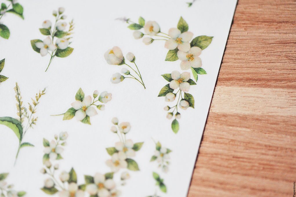 Mu Print-ON Sticker 1035