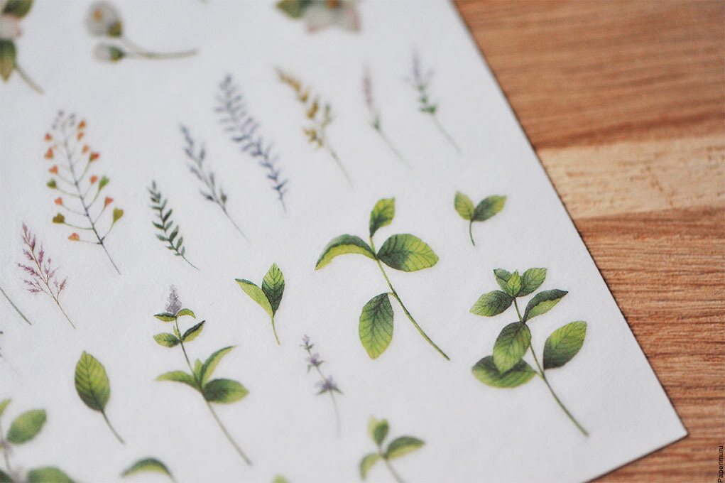 Mu Print-ON Sticker 1035