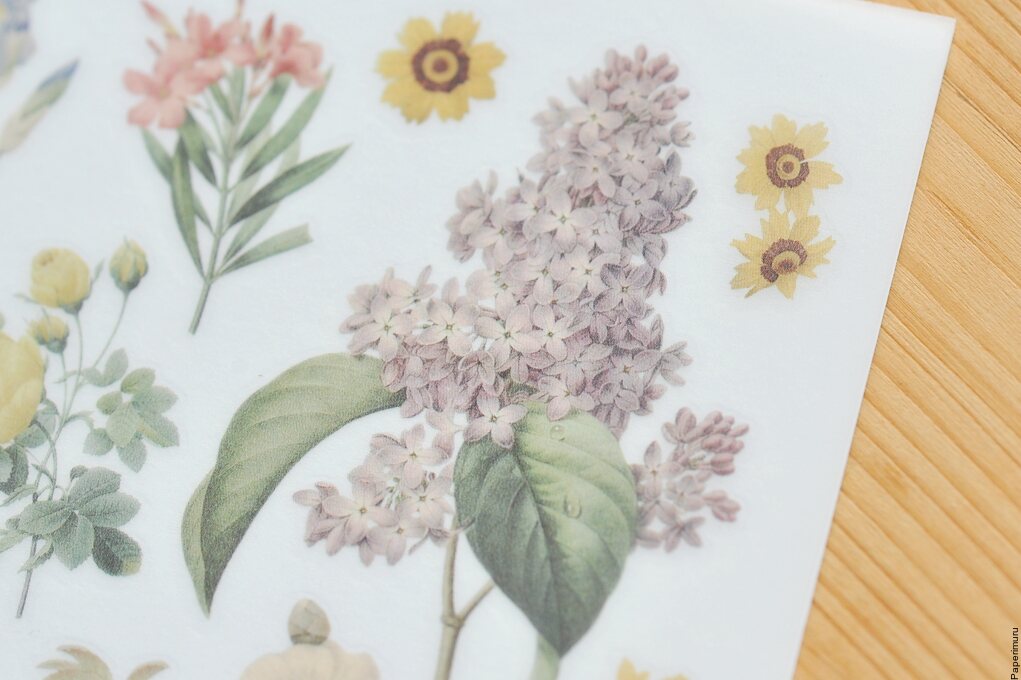 Mu Print-ON Sticker 1046