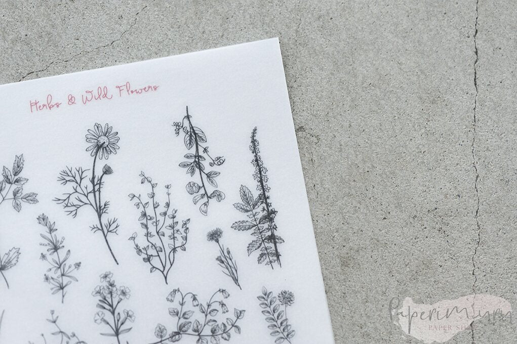 Mu Print-ON Sticker 1055