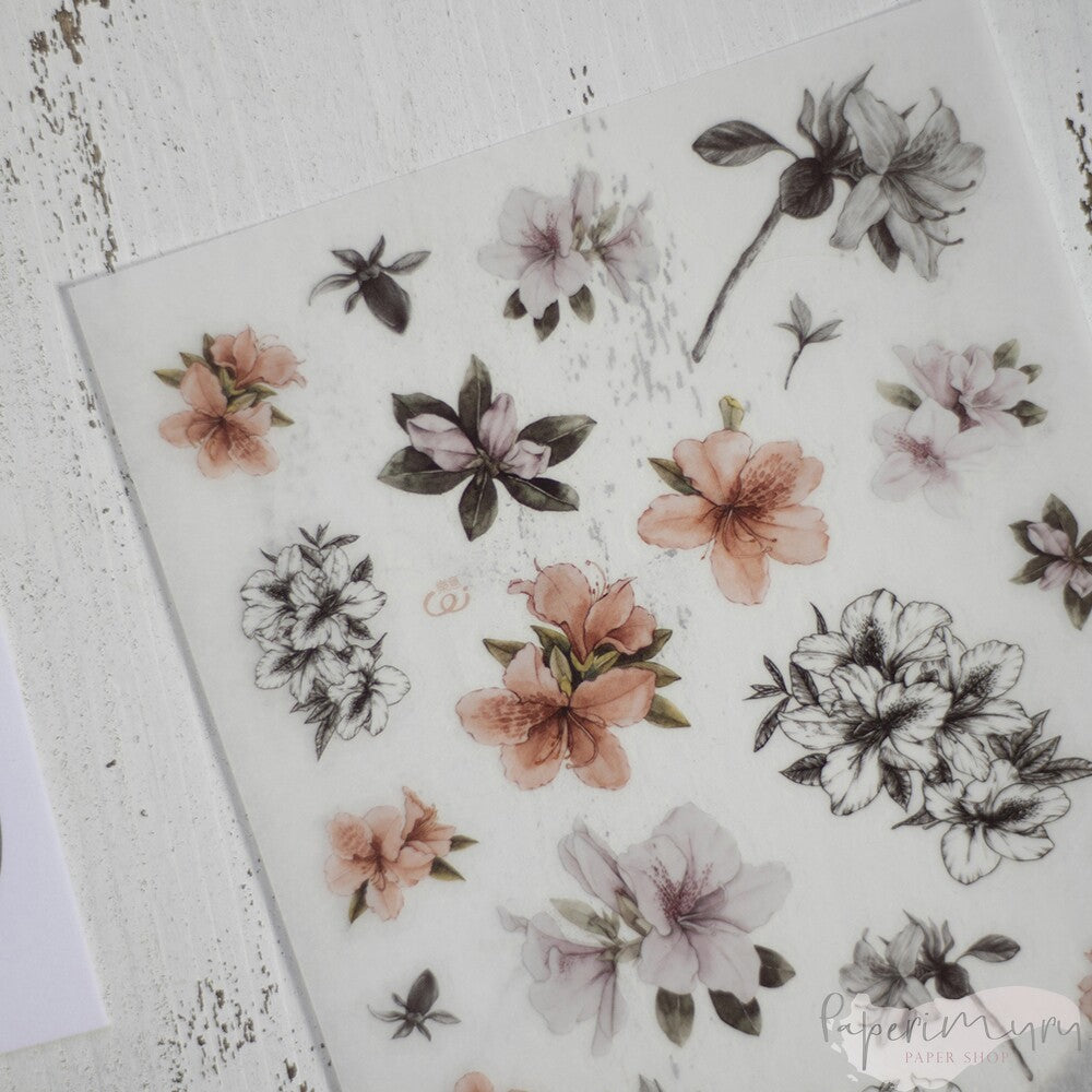 Transfer Sticker Azalea - 3 designs/set