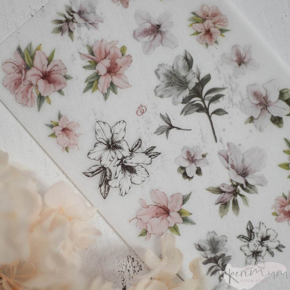 Transfer Sticker Azalea - 3 designs/set