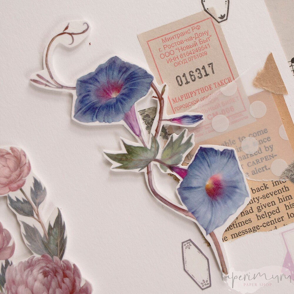 Washiteippi 5cm Ipomoea & Peony