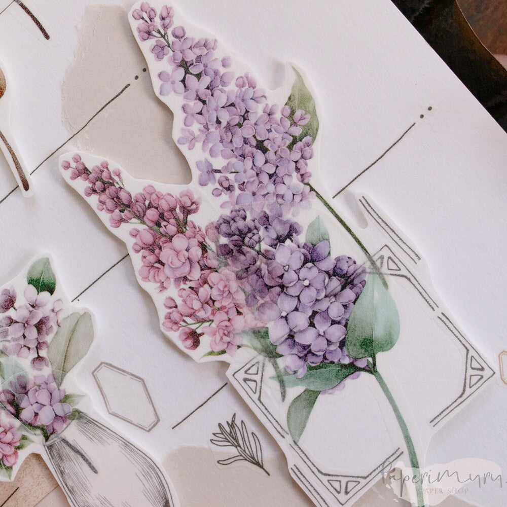 Washitape 5cm Aromatic