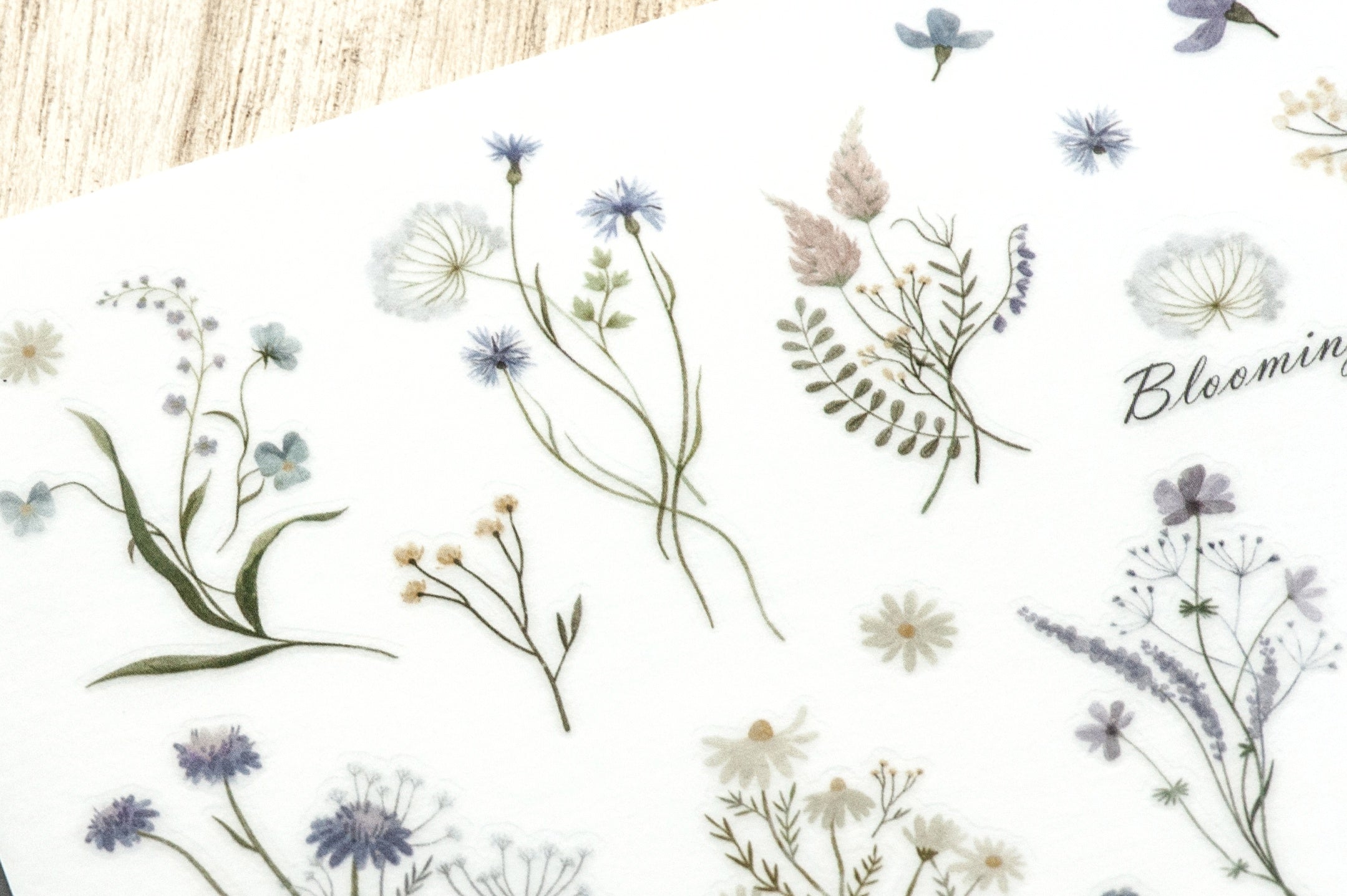 MU Print-ON Sticker 1203