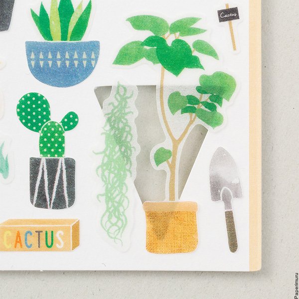 Sticker Marché Cactus
