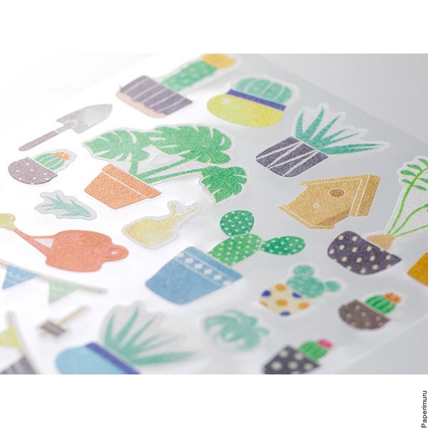 Sticker Marché Cactus