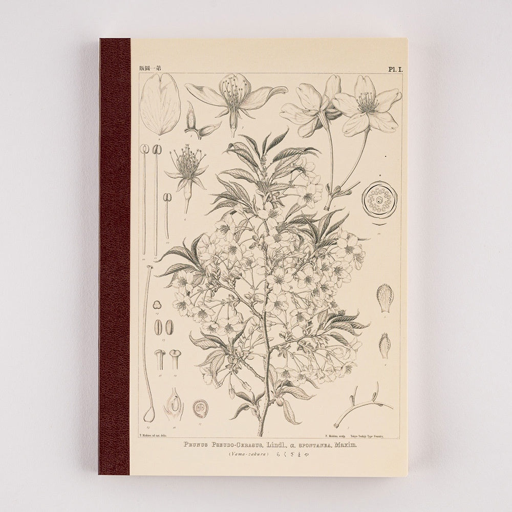Hobonichi Plain Notebook A5 Tomitaro Makino : Yamazakura Notebook features an illustration of a Yamazakura cherry tree created by the botanist Tomitaro Makino in 1900. Makino is known for his detailed works of art. This notebook has Tomoe River paper, opens completely flat, and contains graph paper divided into 4 colors.