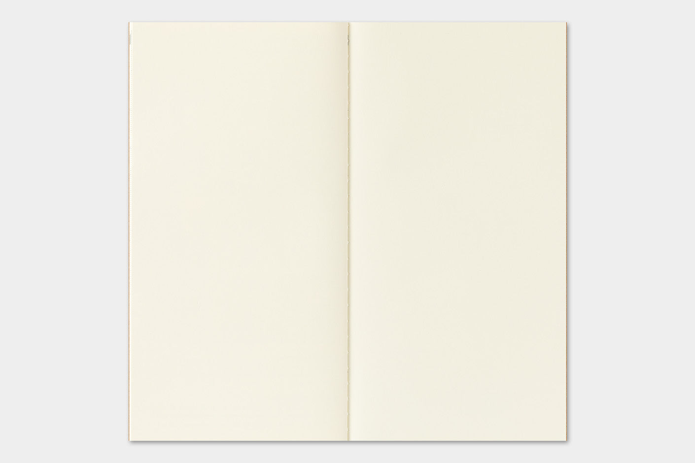 Traveler's Notebook 2027 Monthly Diary Regular Size