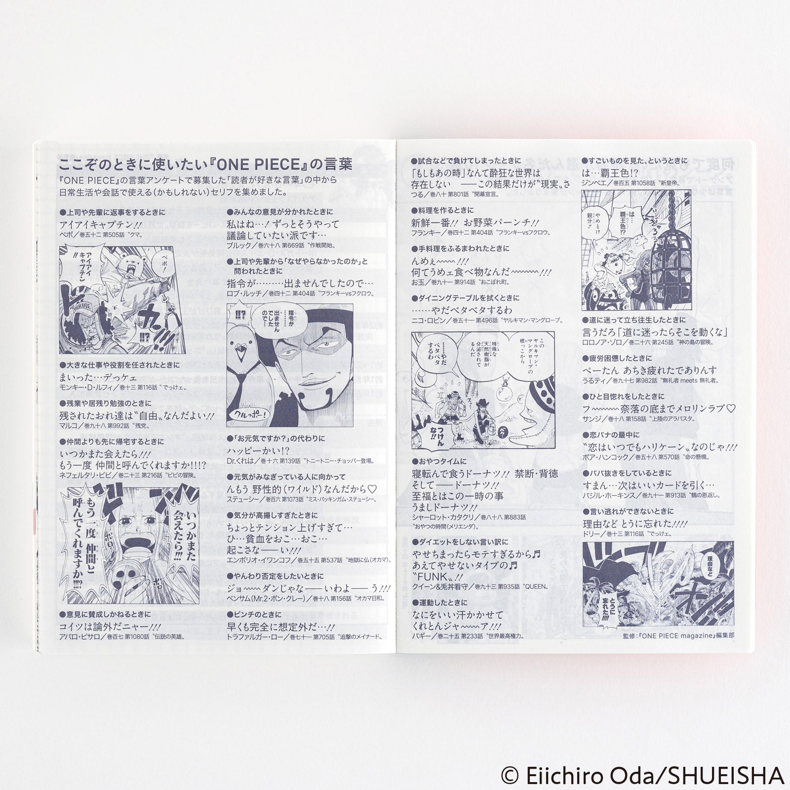 Techo A6 Original Book - One Piece Edition 2025 JPN