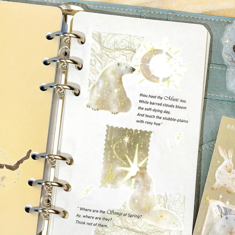 PET Sticker Set Stardust Magic Moon