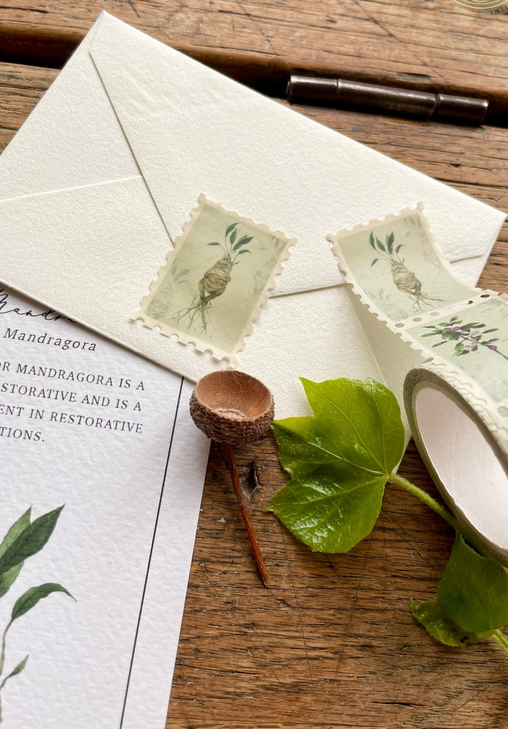 Georgiou Draws Magical Botanical Herbology Stamp Washitape Add some magic to your stationery with luxury herbology stamp washi tape