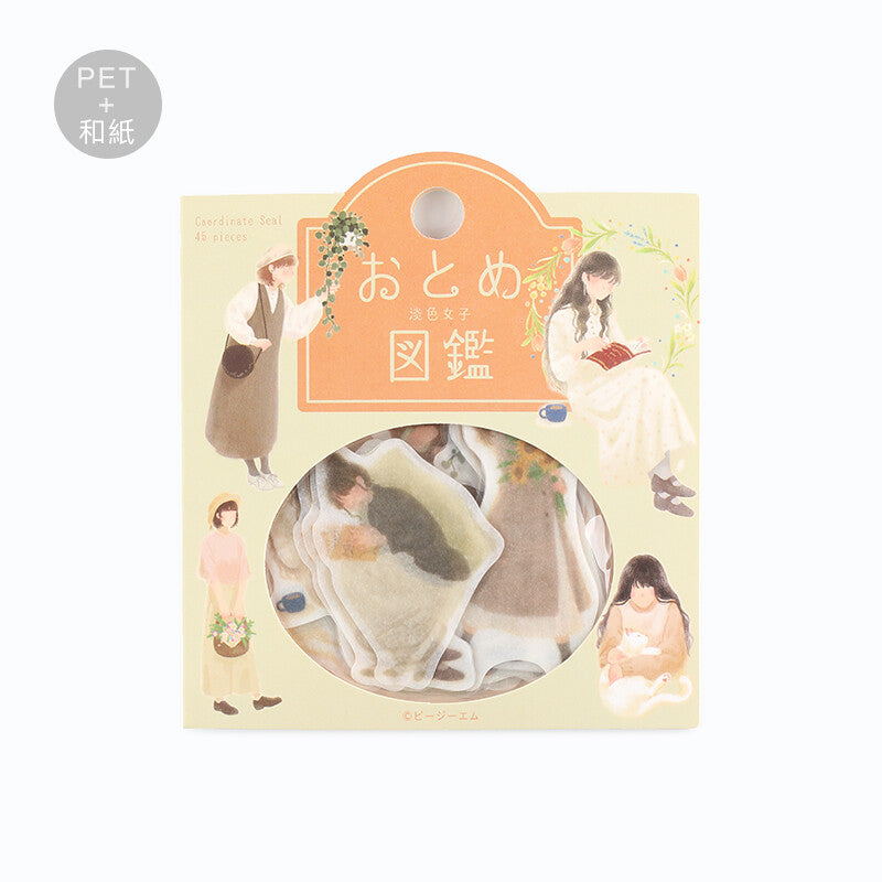 Coordinate Girl Sticker Flakes Set Picture Book Light Colored Girls