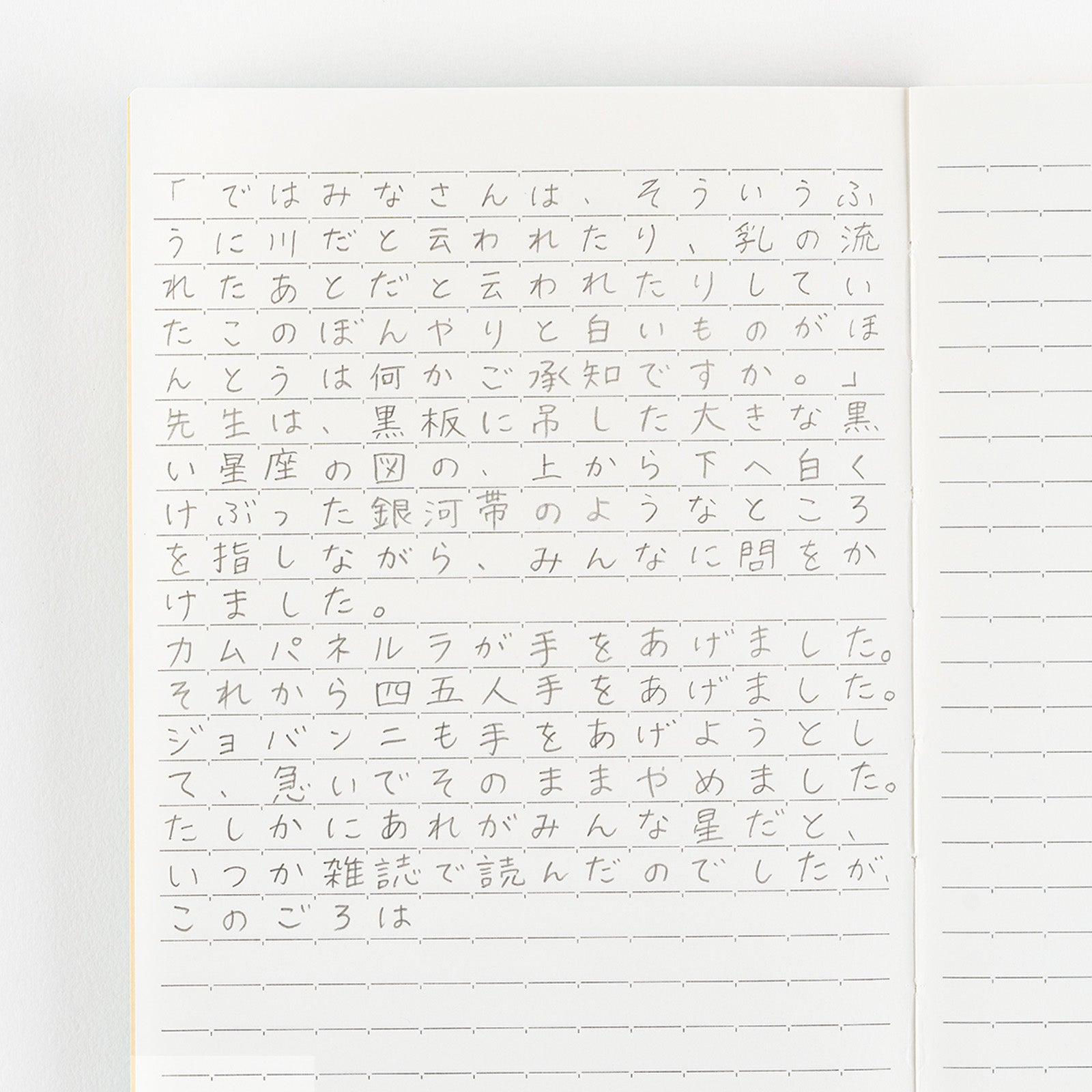 Lined Notebook (A5 Size)