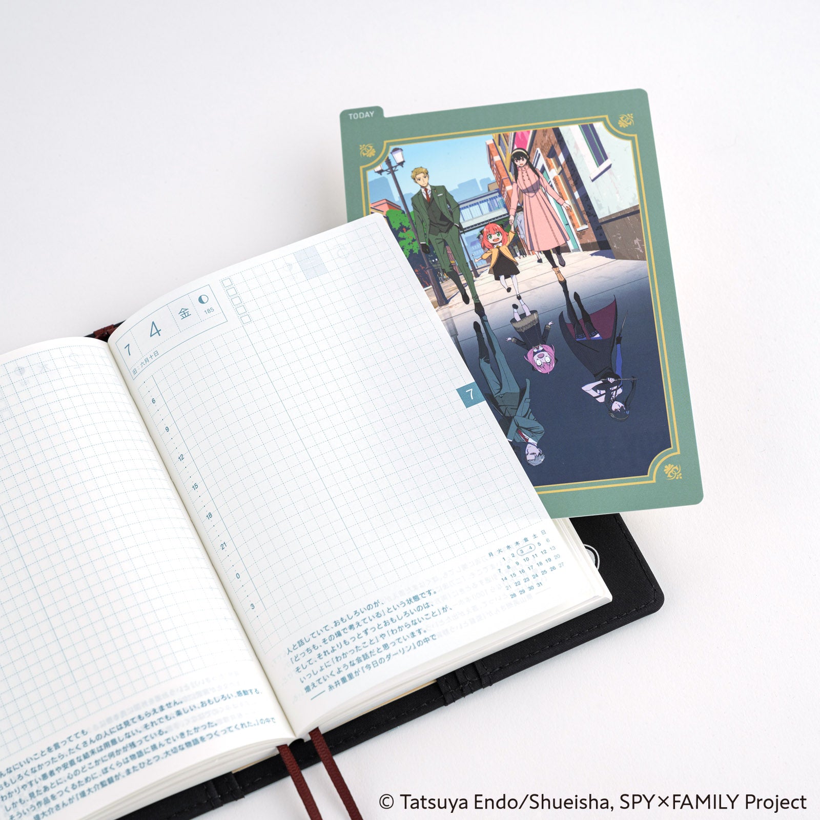 SPY x FAMILY: Hobonichi Pencil Board for A6 Size (SPY x FAMILY)