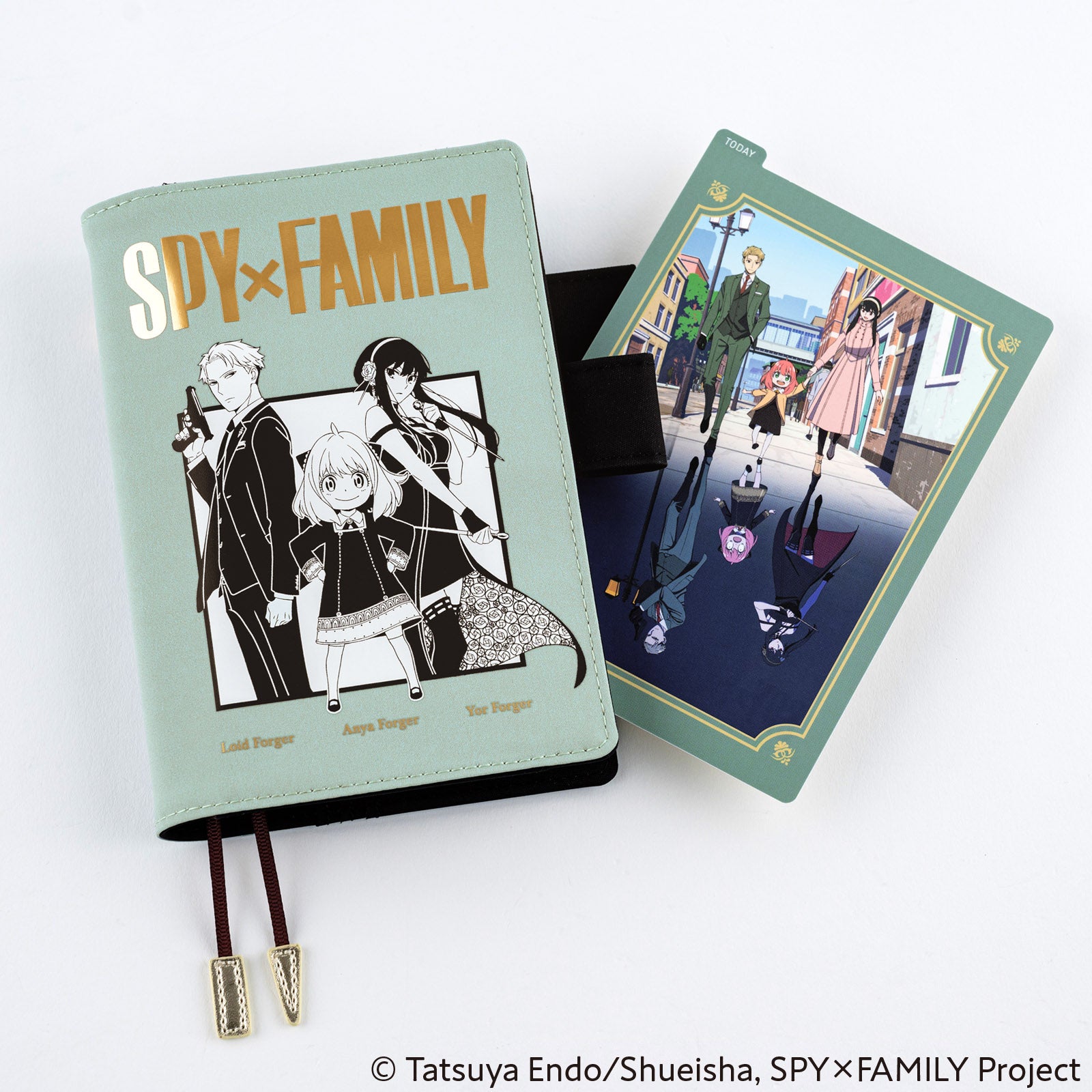 SPY x FAMILY: Hobonichi Pencil Board for A6 Size (SPY x FAMILY)