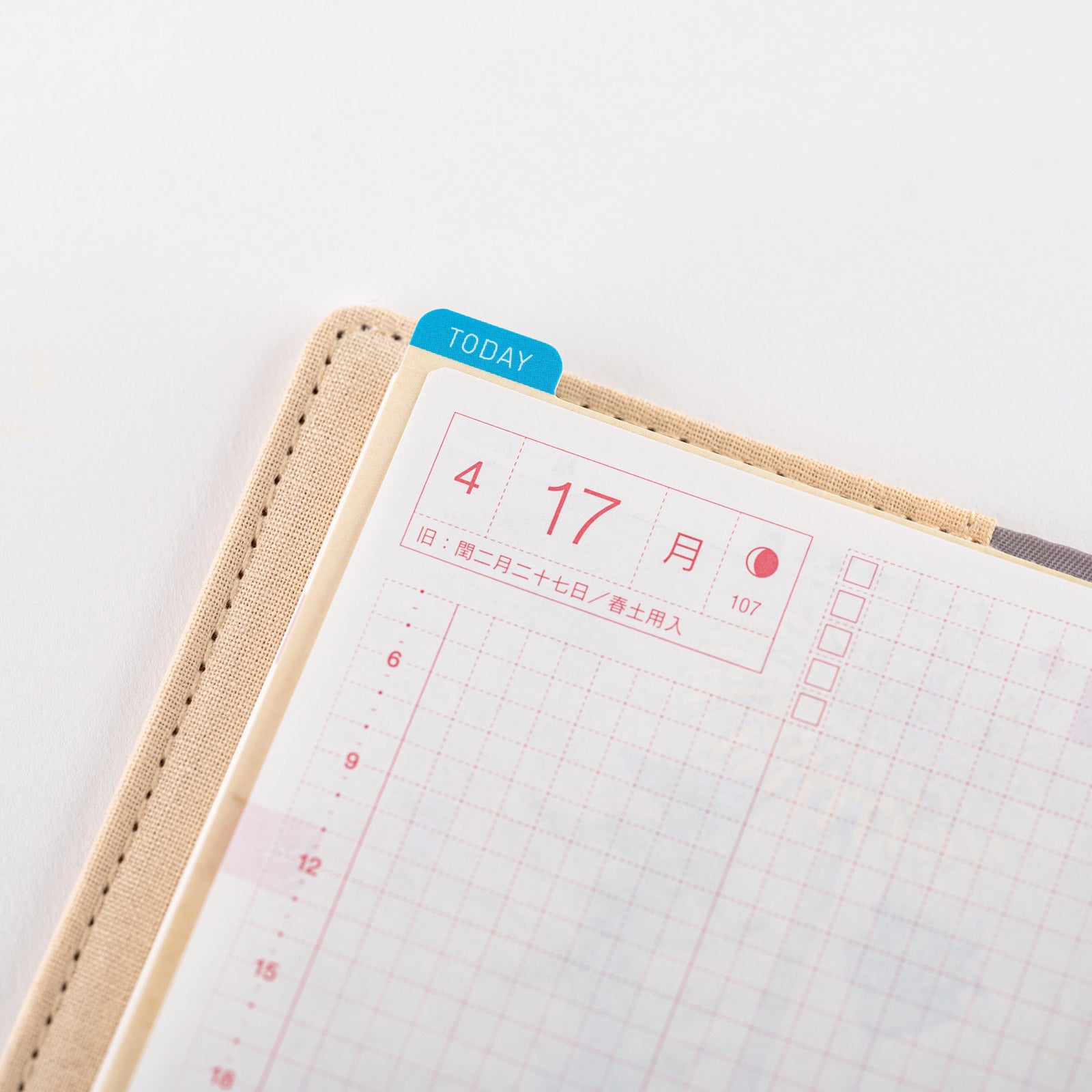 Hobonichi Tomitaro Makino: Pencil Board for A5 Size This pencil board features an illustration created by the botanist Tomitaro Makino. Makino is known for his detailed works of art.  The Hobonichi pencil boards are designed to use underneath the page you are writing on to keep your writing experience even smoother.