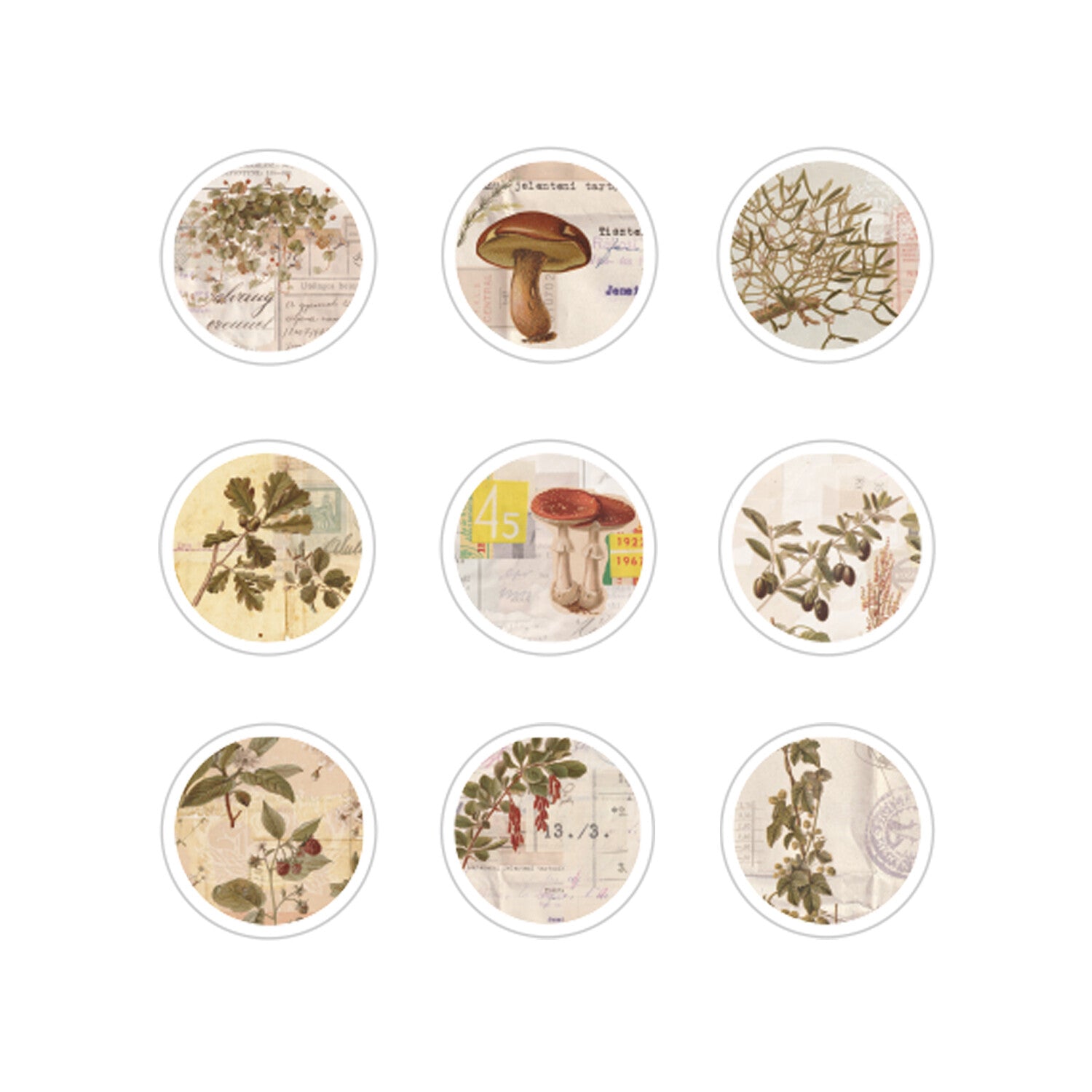 Plant Circles Flake Seal Stickers