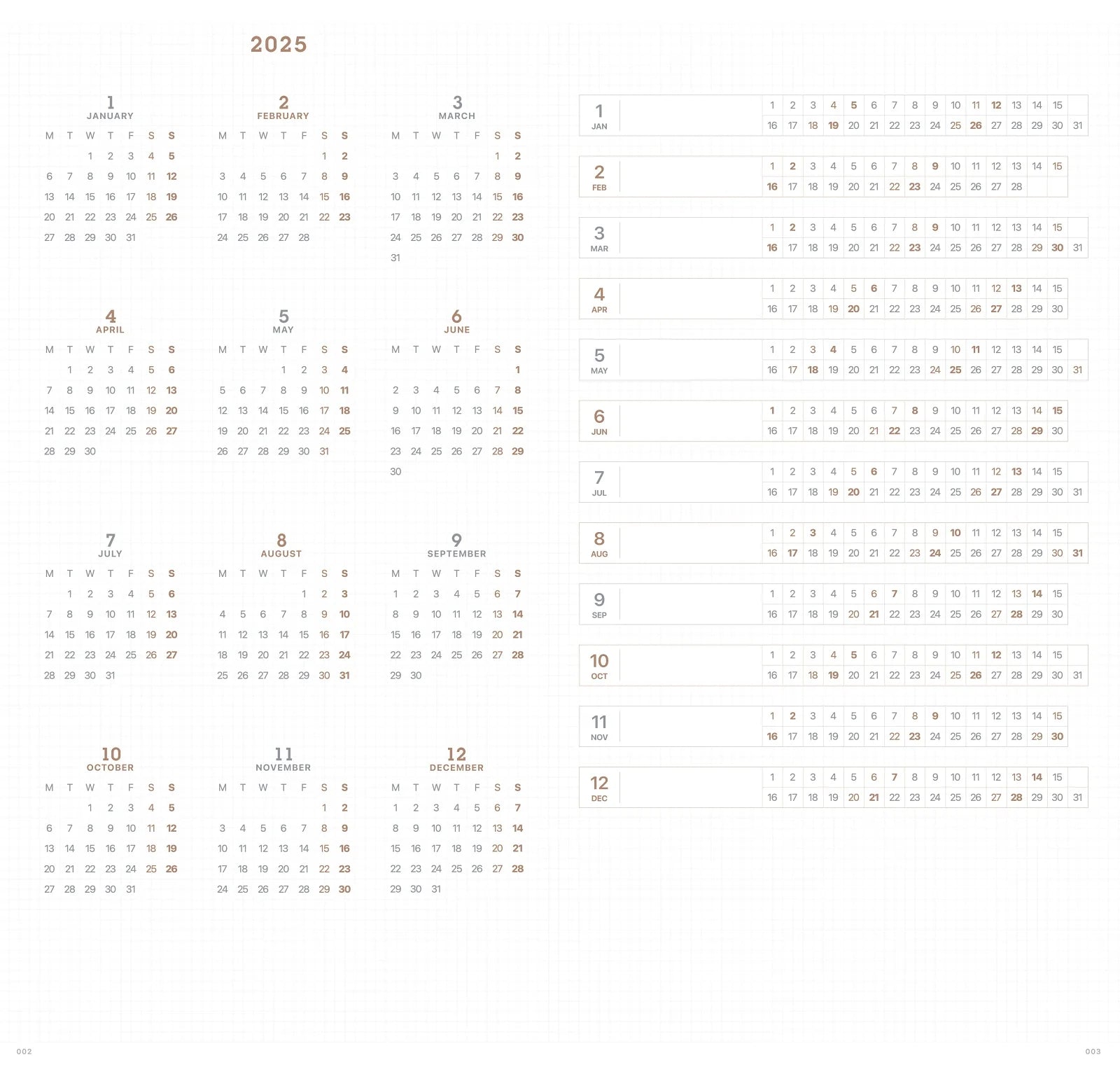 2025 SLIM BIWEEK PLANNER