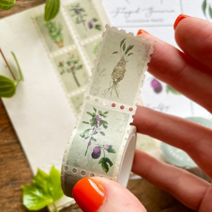 Georgiou Draws Magical Botanical Herbology Stamp Washitape Add some magic to your stationery with luxury herbology stamp washi tape