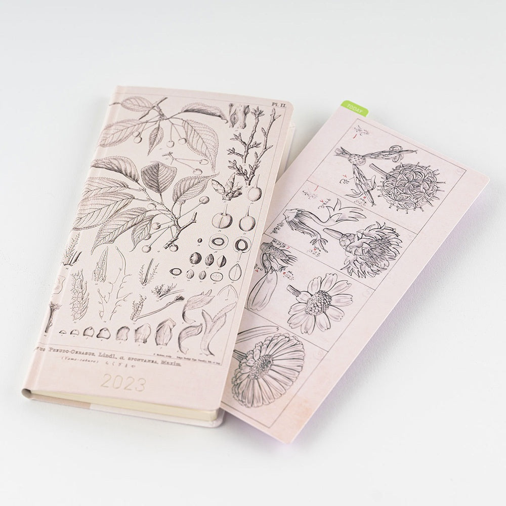 Hobonichi Pencil Board Weeks Tomitaro Makino This pencil board features an illustration created by the botanist Tomitaro Makino. Makino is known for his detailed works of art.