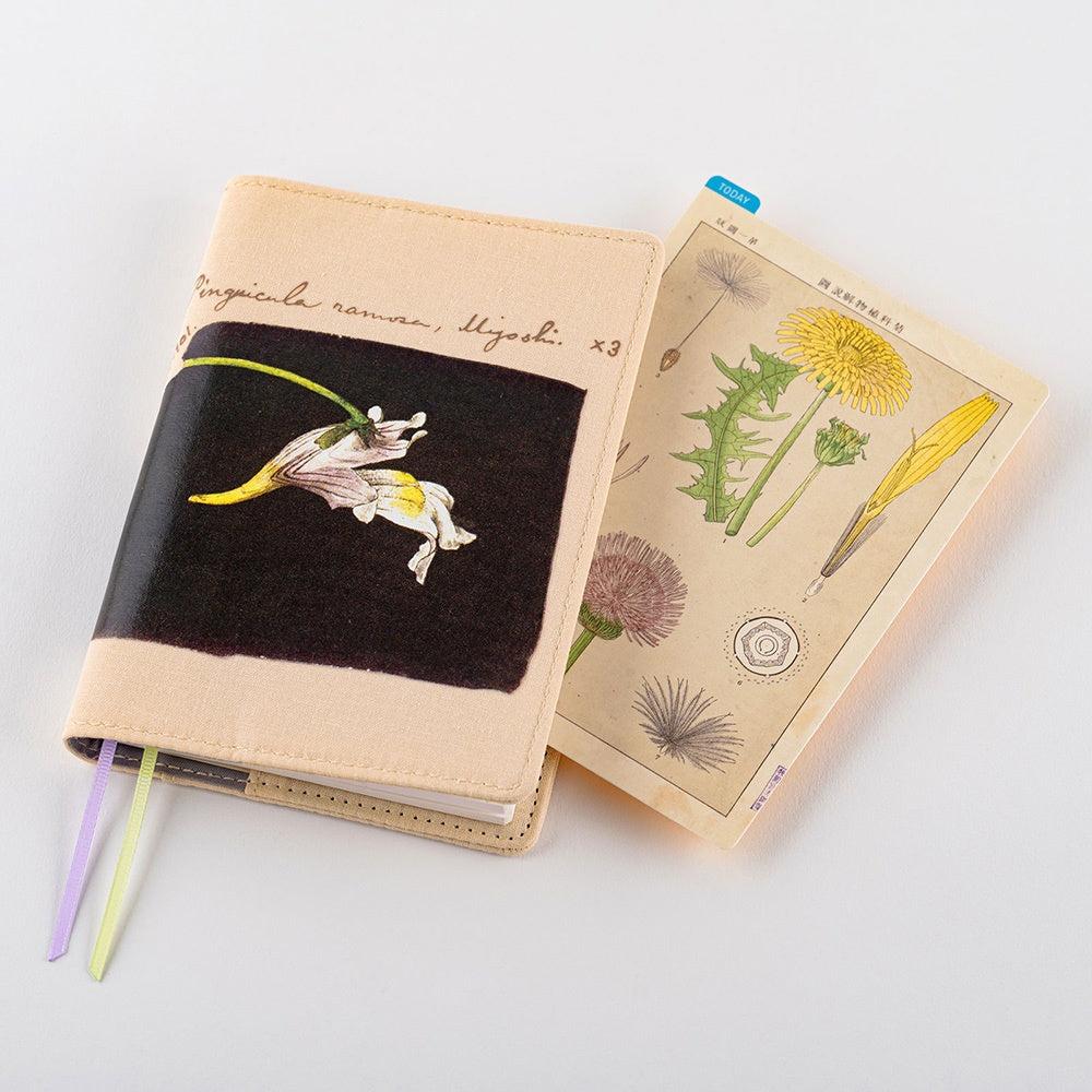 Hobonichi Pencil Board A6 Tomitaro Makino This pencil board features an illustration created by the botanist Tomitaro Makino. Makino is known for his detailed works of art.  The Hobonichi pencil boards are designed to use underneath the page you are writing on to keep your writing experience even smoother.